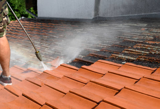 Best Roof Pressure Washing  in Browntown, PA