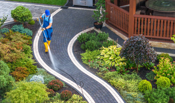 Best Pressure Washing Near Me  in Browntown, PA