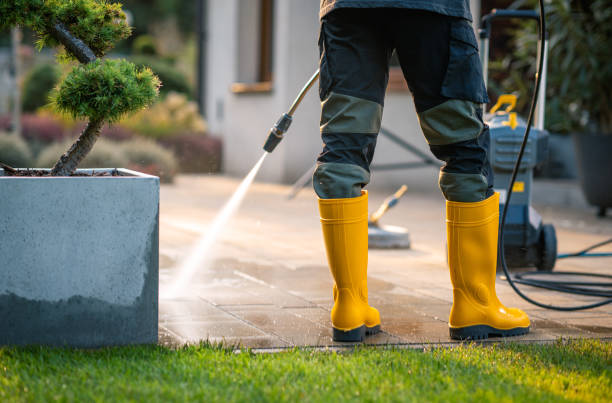 Best Best Pressure Washing Companies  in Browntown, PA